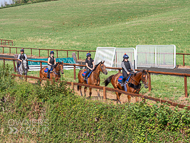 PH020922-57 - 3rd Lot on the gallops